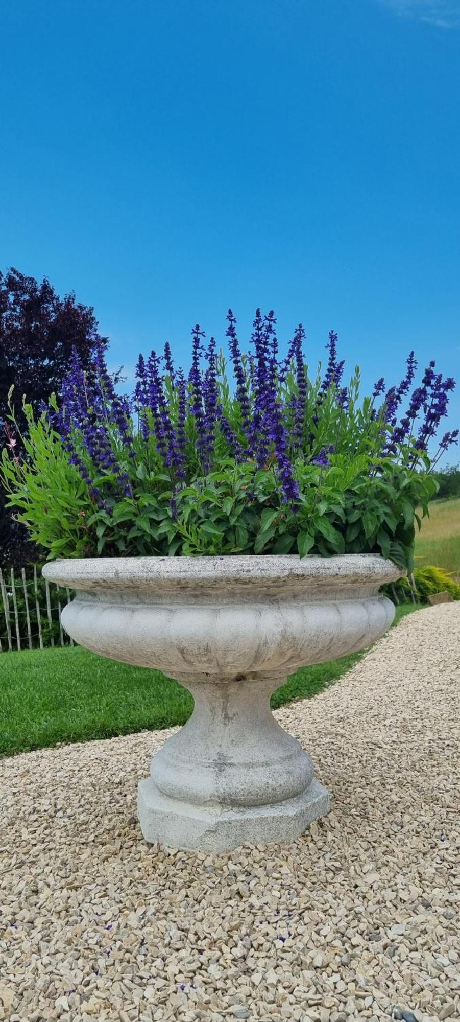 Bevons Mas Tulipe De Soie B&B 외부 사진